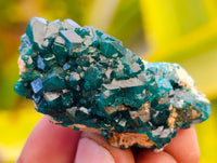 Natural Dioptase On Dolomite Specimens x 12 From Likasi, Congo - Toprock Gemstones and Minerals 