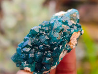 Natural Dioptase On Dolomite Specimens x 12 From Likasi, Congo - Toprock Gemstones and Minerals 