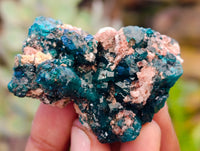 Natural Dioptase On Dolomite Specimens x 12 From Likasi, Congo - Toprock Gemstones and Minerals 