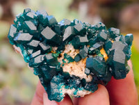 Natural Dioptase On Dolomite Specimens x 12 From Likasi, Congo - Toprock Gemstones and Minerals 
