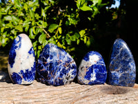 Polished Sodalite Standing Free Forms x 4 From Kunene River, Namibia