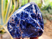 Polished Sodalite Standing Free Forms x 4 From Kunene River, Namibia