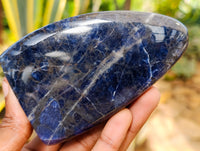 Polished Sodalite Standing Free Forms x 4 From Kunene River, Namibia