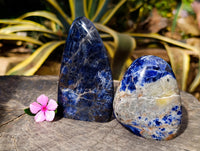 Polished Sodalite Standing Free Forms x 4 From Kunene River, Namibia