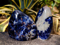 Polished Sodalite Standing Free Forms x 4 From Kunene River, Namibia