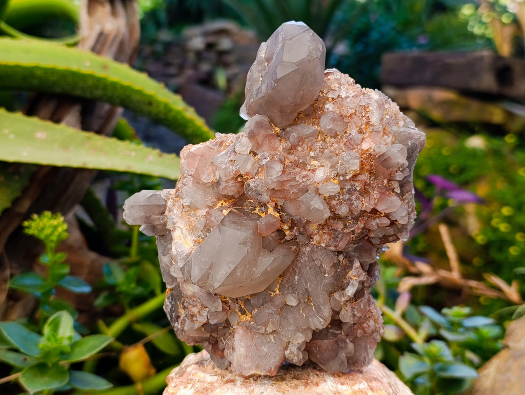 Natural Red Hematoid Quartz Clusters x 3 From Karoi, Zimbabwe - Toprock Gemstones and Minerals 