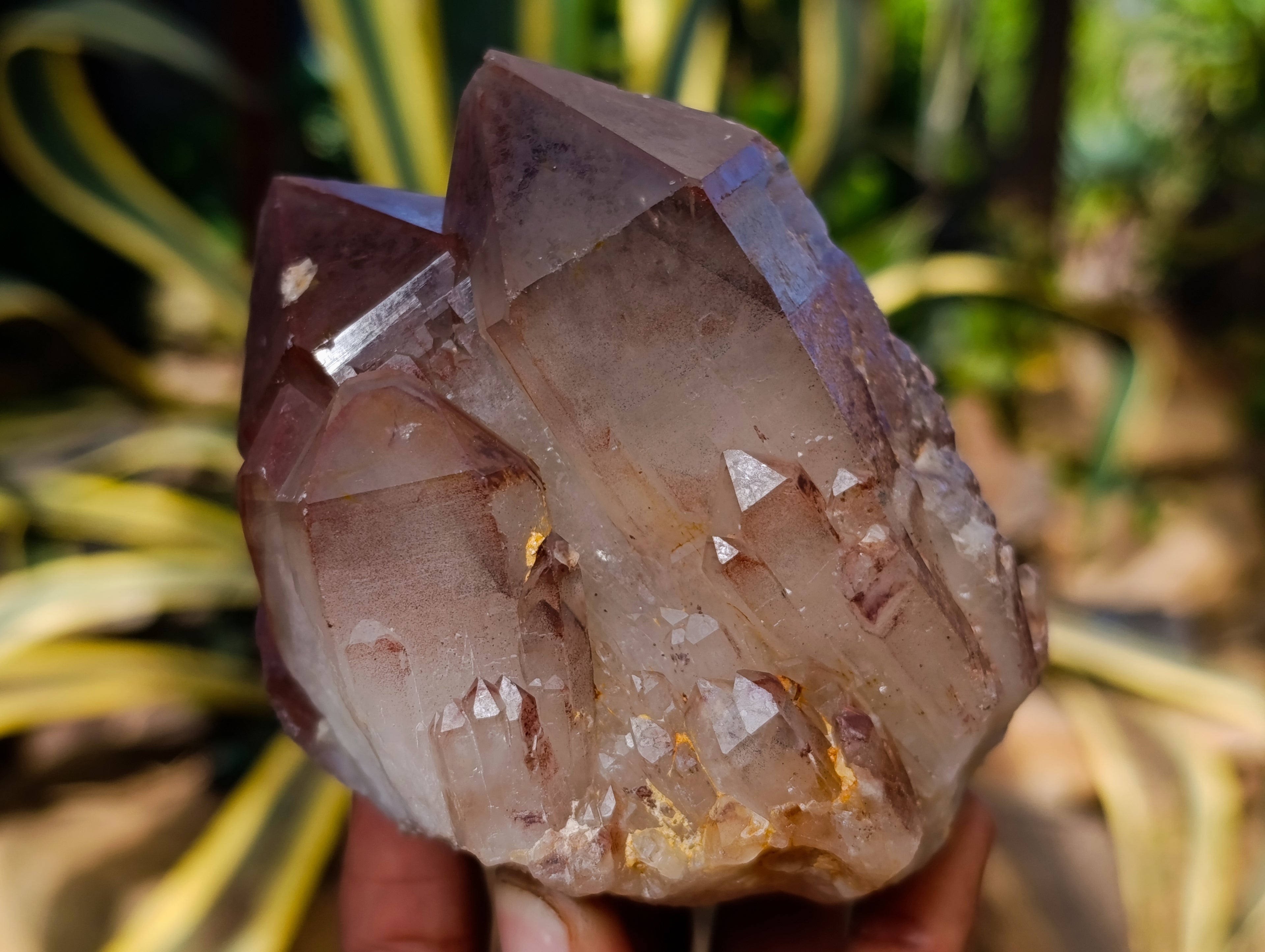 Natural Red Hematoid Quartz Clusters x 3 From Karoi, Zimbabwe - Toprock Gemstones and Minerals 