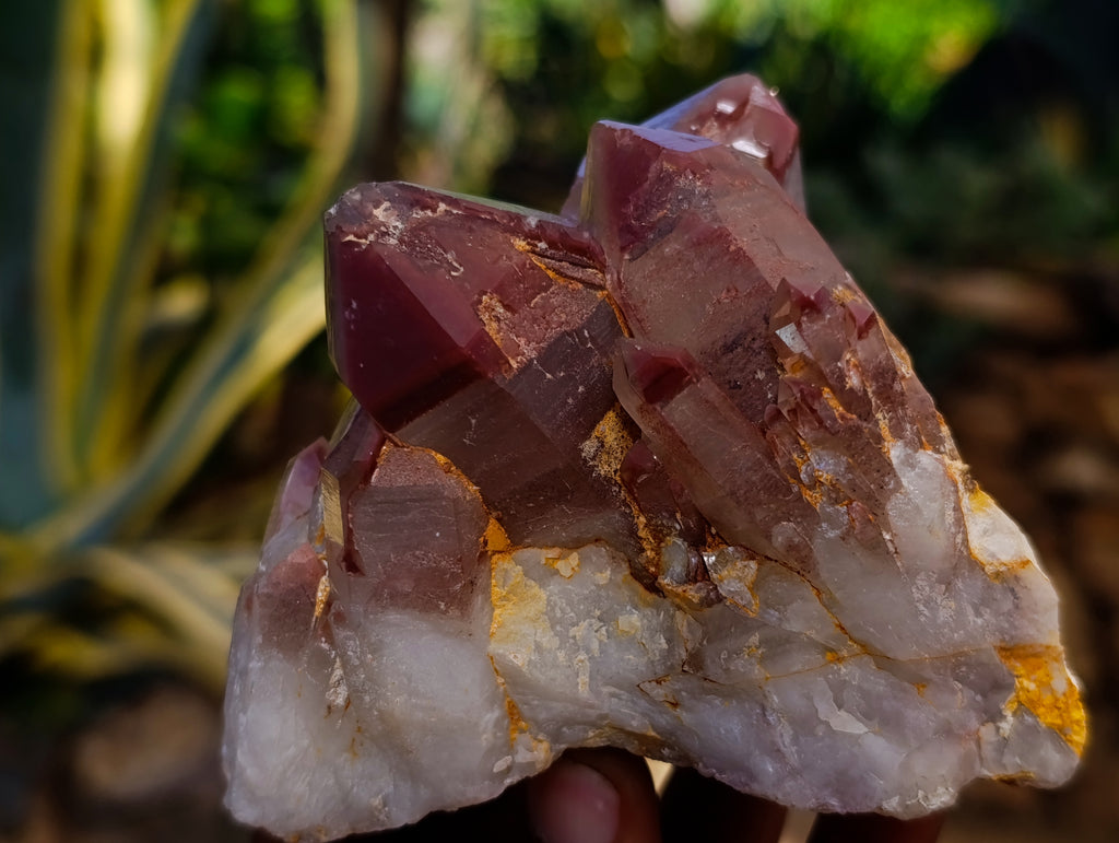 Natural Red Hematoid Quartz Clusters x 3 From Karoi, Zimbabwe - Toprock Gemstones and Minerals 