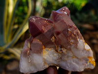 Natural Red Hematoid Quartz Clusters x 3 From Karoi, Zimbabwe