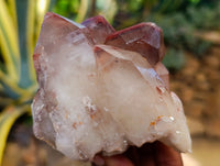 Natural Red Hematoid Quartz Clusters x 3 From Karoi, Zimbabwe
