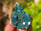Natural Dioptase On Dolomite Specimens x 12 From Likasi, Congo - Toprock Gemstones and Minerals 