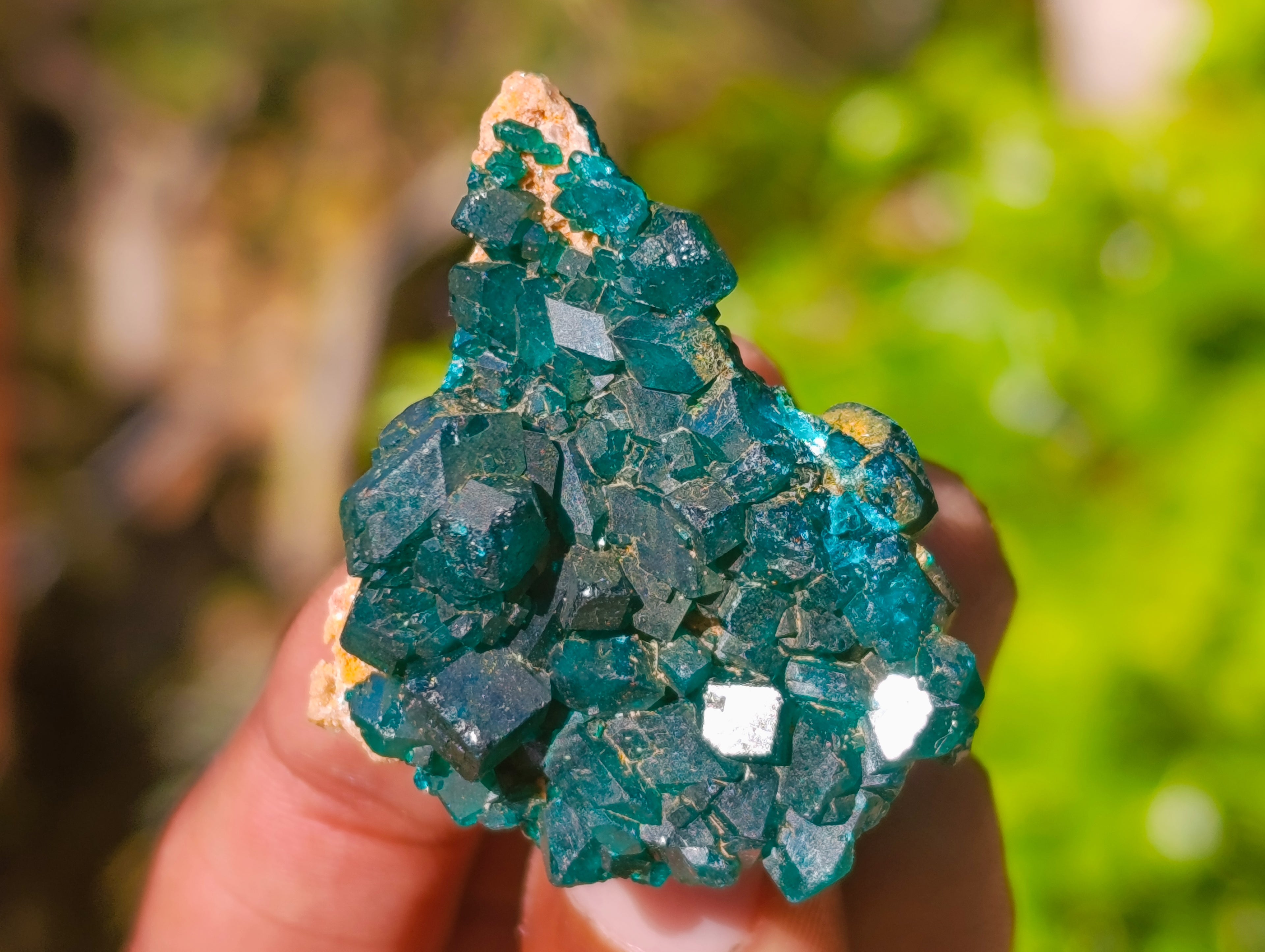 Natural Dioptase On Dolomite Specimens x 12 From Likasi, Congo - Toprock Gemstones and Minerals 