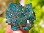 Natural Dioptase On Dolomite Specimens x 12 From Likasi, Congo - Toprock Gemstones and Minerals 