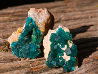 Natural Dioptase On Dolomite Specimens x 12 From Likasi, Congo - Toprock Gemstones and Minerals 