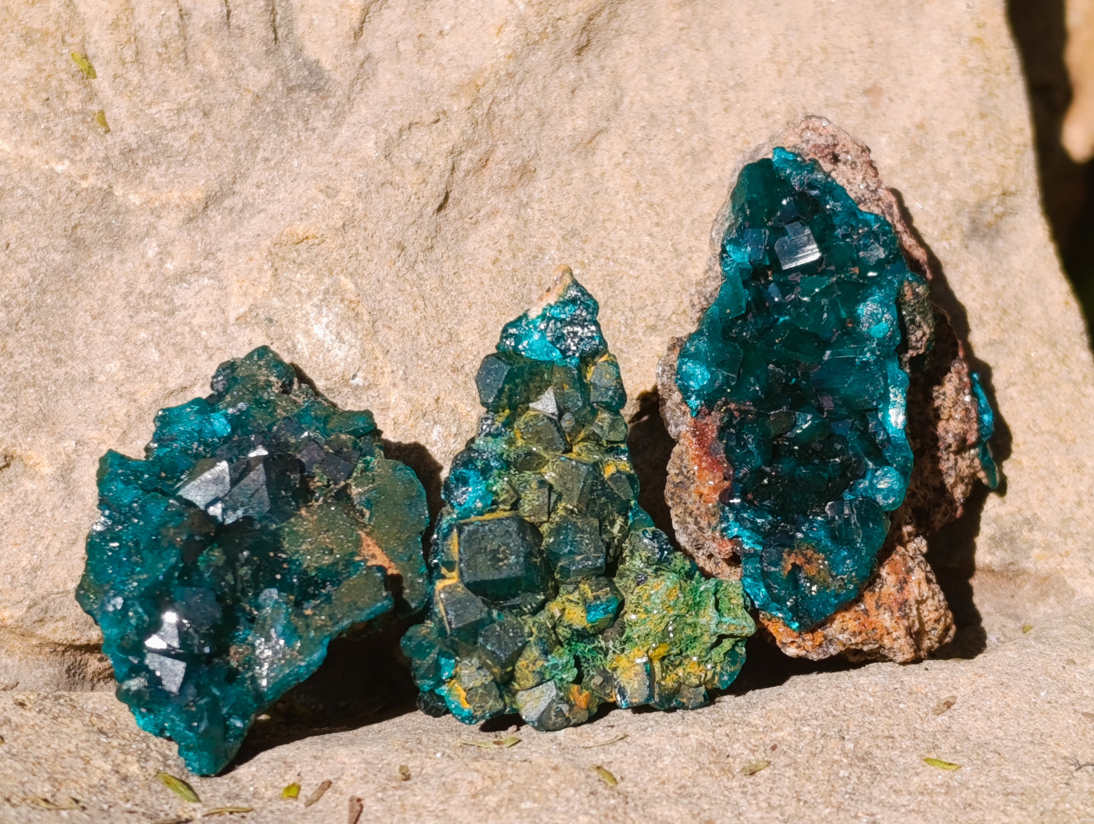 Natural Dioptase On Dolomite Specimens x 12 From Likasi, Congo - Toprock Gemstones and Minerals 