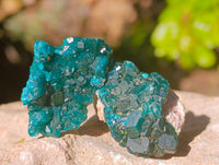 Natural Dioptase On Dolomite Specimens x 12 From Likasi, Congo - Toprock Gemstones and Minerals 