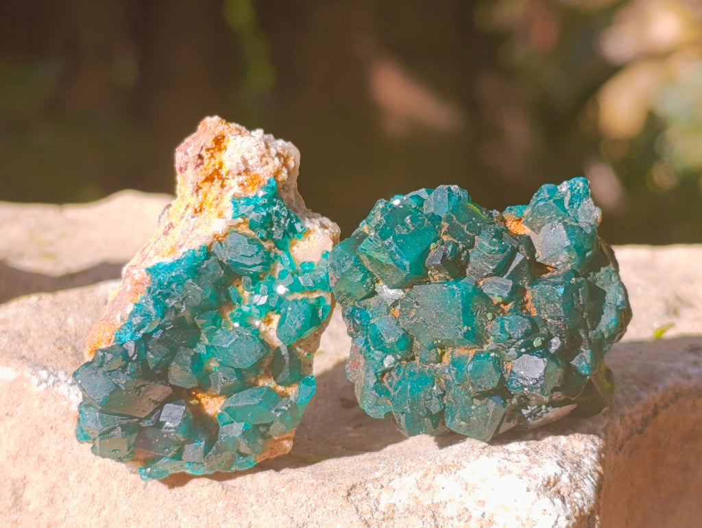 Natural Dioptase On Dolomite Specimens x 12 From Likasi, Congo - Toprock Gemstones and Minerals 