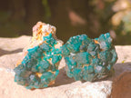 Natural Dioptase On Dolomite Specimens x 12 From Likasi, Congo - Toprock Gemstones and Minerals 