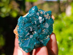 Natural Dioptase On Dolomite Specimens x 12 From Likasi, Congo - Toprock Gemstones and Minerals 