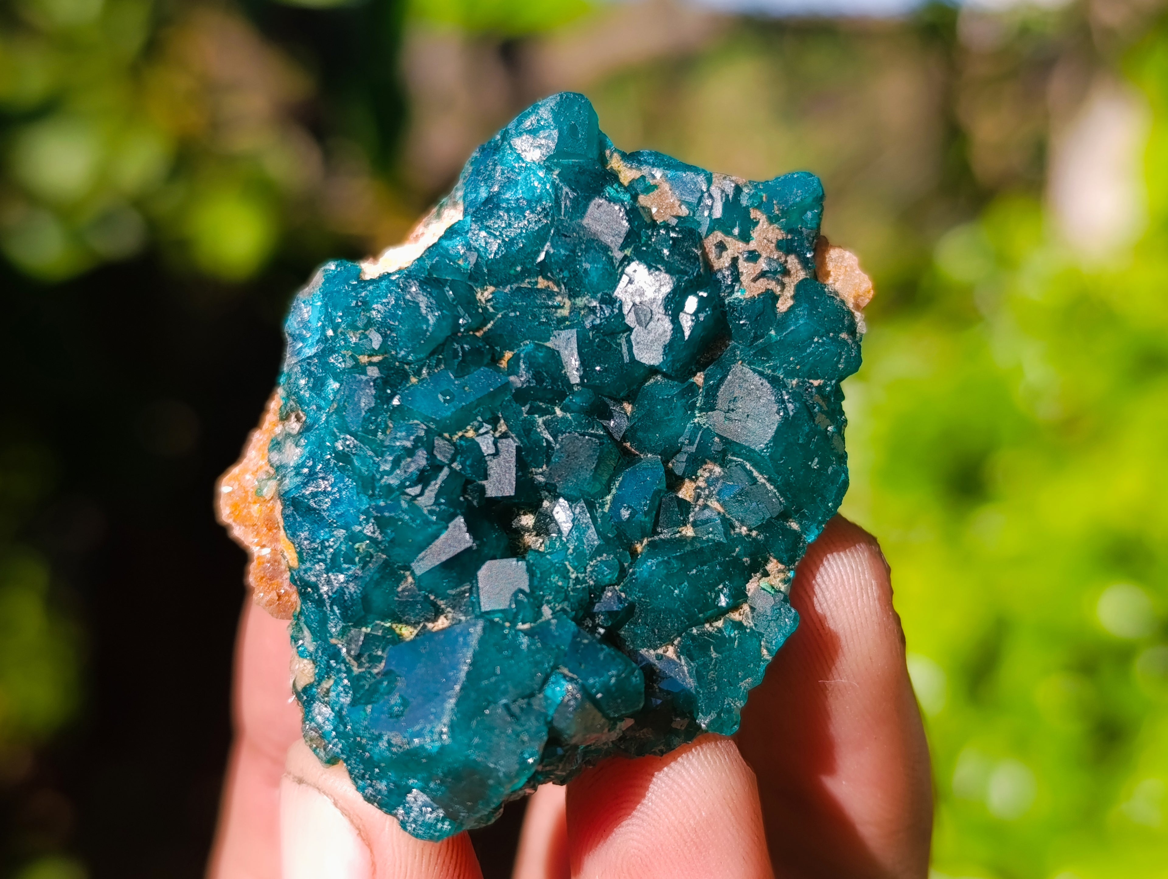 Natural Dioptase On Dolomite Specimens x 12 From Likasi, Congo - Toprock Gemstones and Minerals 