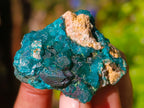 Natural Dioptase On Dolomite Specimens x 12 From Likasi, Congo - Toprock Gemstones and Minerals 