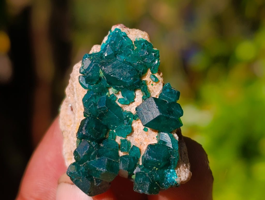 Natural Dioptase On Dolomite Specimens x 12 From Likasi, Congo - Toprock Gemstones and Minerals 