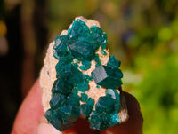 Natural Dioptase On Dolomite Specimens x 12 From Likasi, Congo - Toprock Gemstones and Minerals 