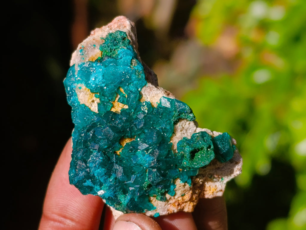 Natural Dioptase On Dolomite Specimens x 12 From Likasi, Congo - Toprock Gemstones and Minerals 