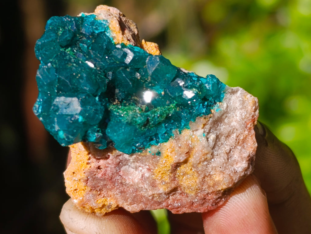 Natural Dioptase On Dolomite Specimens x 12 From Likasi, Congo - Toprock Gemstones and Minerals 