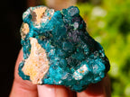 Natural Dioptase On Dolomite Specimens x 12 From Likasi, Congo - Toprock Gemstones and Minerals 