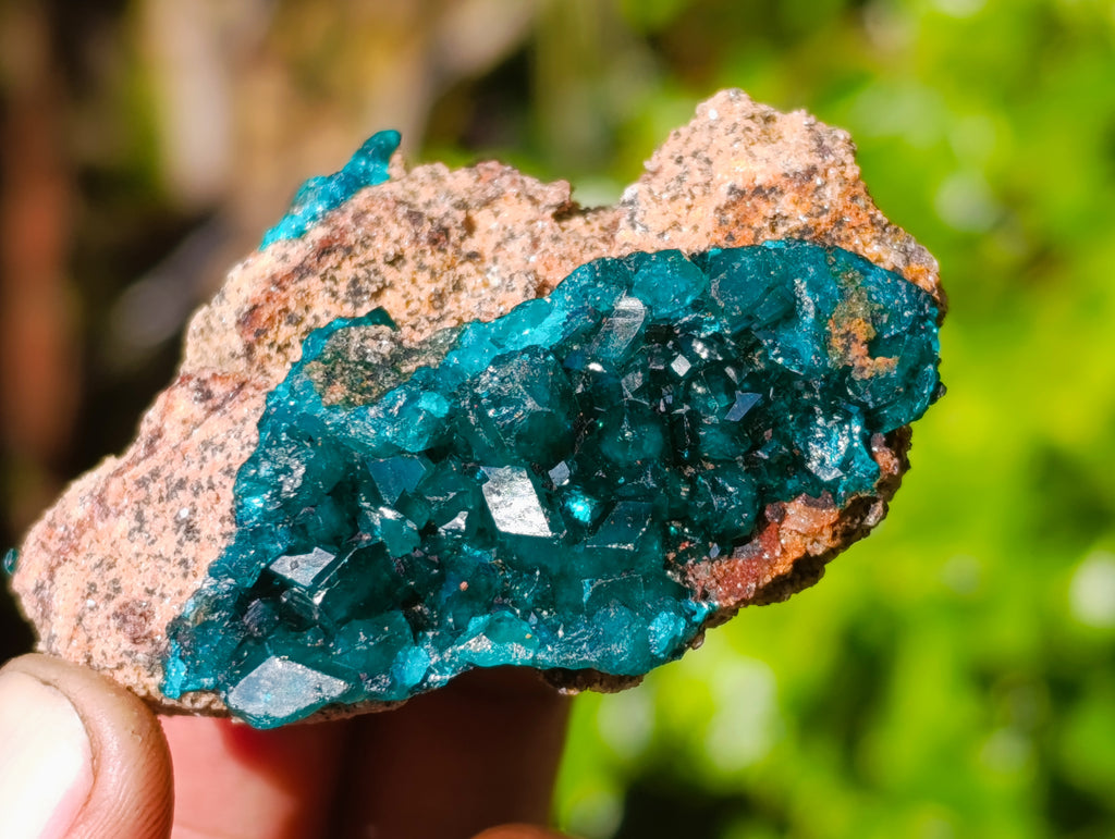 Natural Dioptase On Dolomite Specimens x 12 From Likasi, Congo - Toprock Gemstones and Minerals 