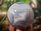 Polished Banded Agate Spheres x 5 From Madagascar - Toprock Gemstones and Minerals 