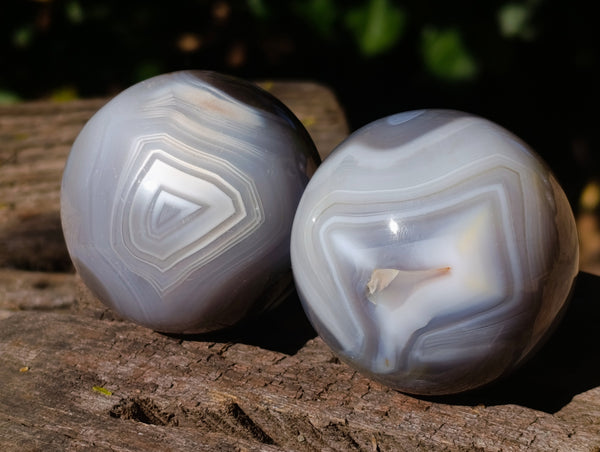 Polished Banded Agate Spheres x 5 From Madagascar