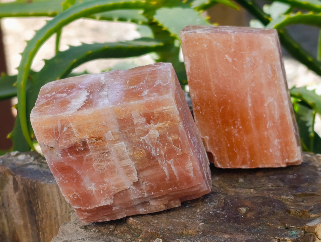 Natural Rhombohedral Sunset Orange Calcite Specimens x 12 From Spitzkop, Namibia - Toprock Gemstones and Minerals 