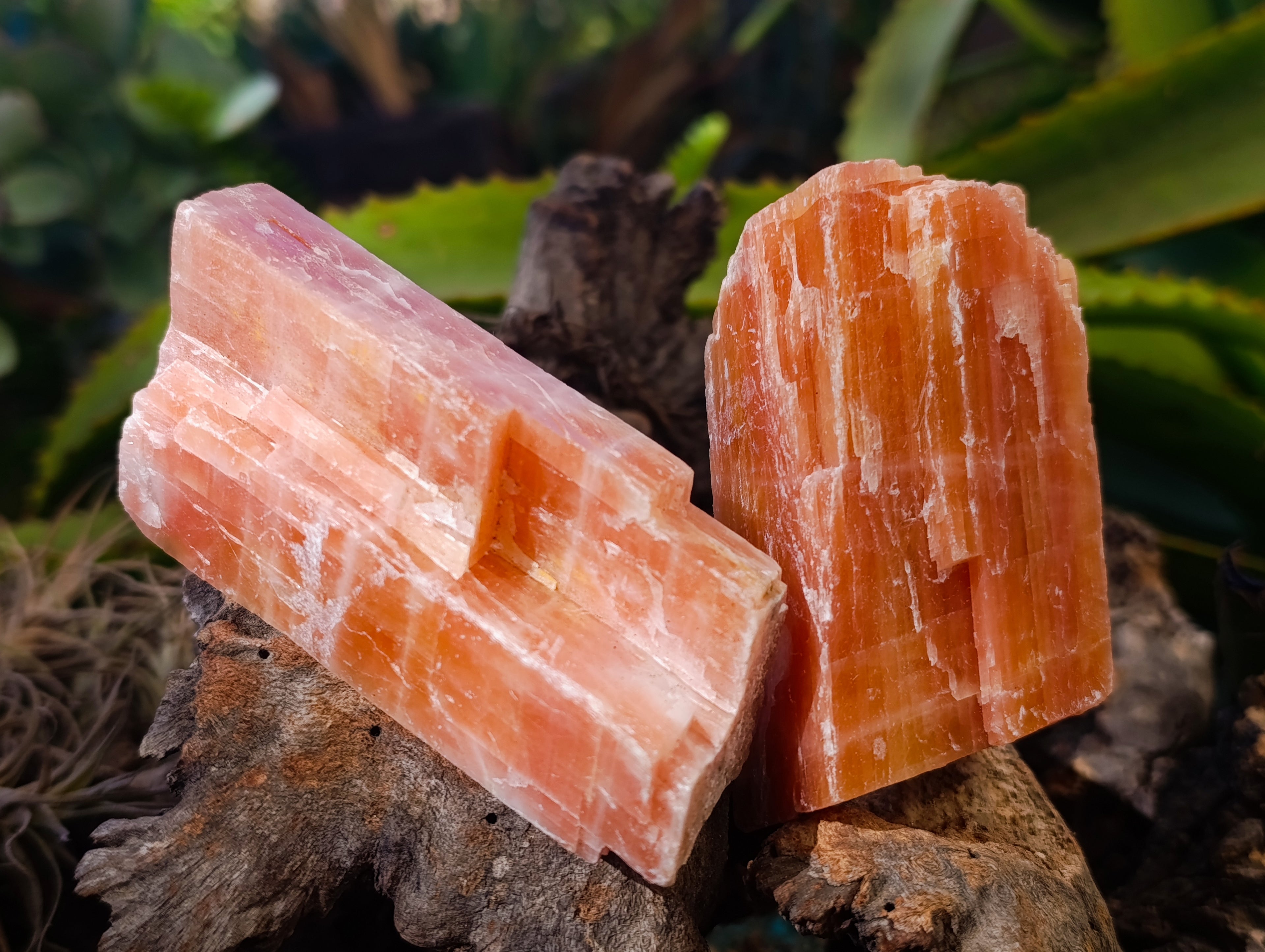 Natural Rhombohedral Sunset Orange Calcite Specimens x 12 From Spitzkop, Namibia - Toprock Gemstones and Minerals 