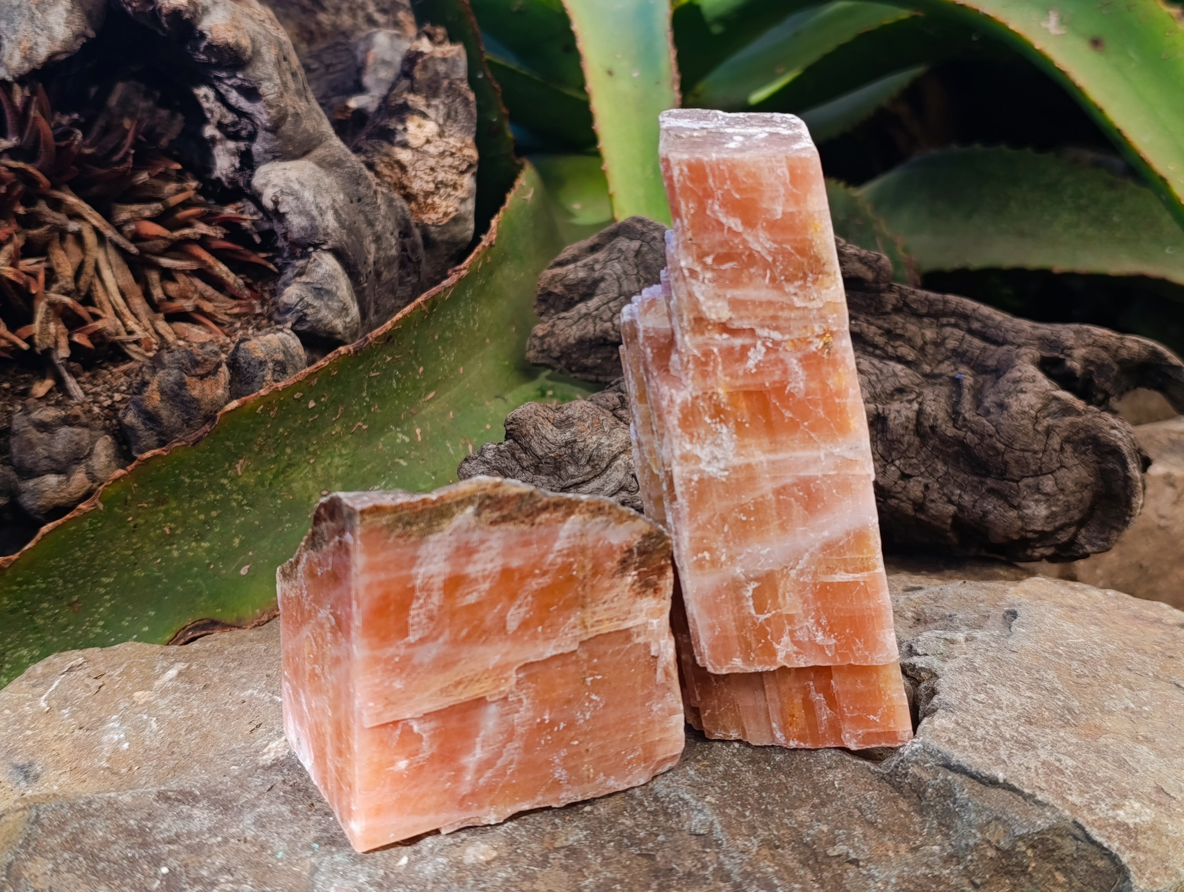 Natural Rhombohedral Sunset Orange Calcite Specimens x 12 From Spitzkop, Namibia - Toprock Gemstones and Minerals 