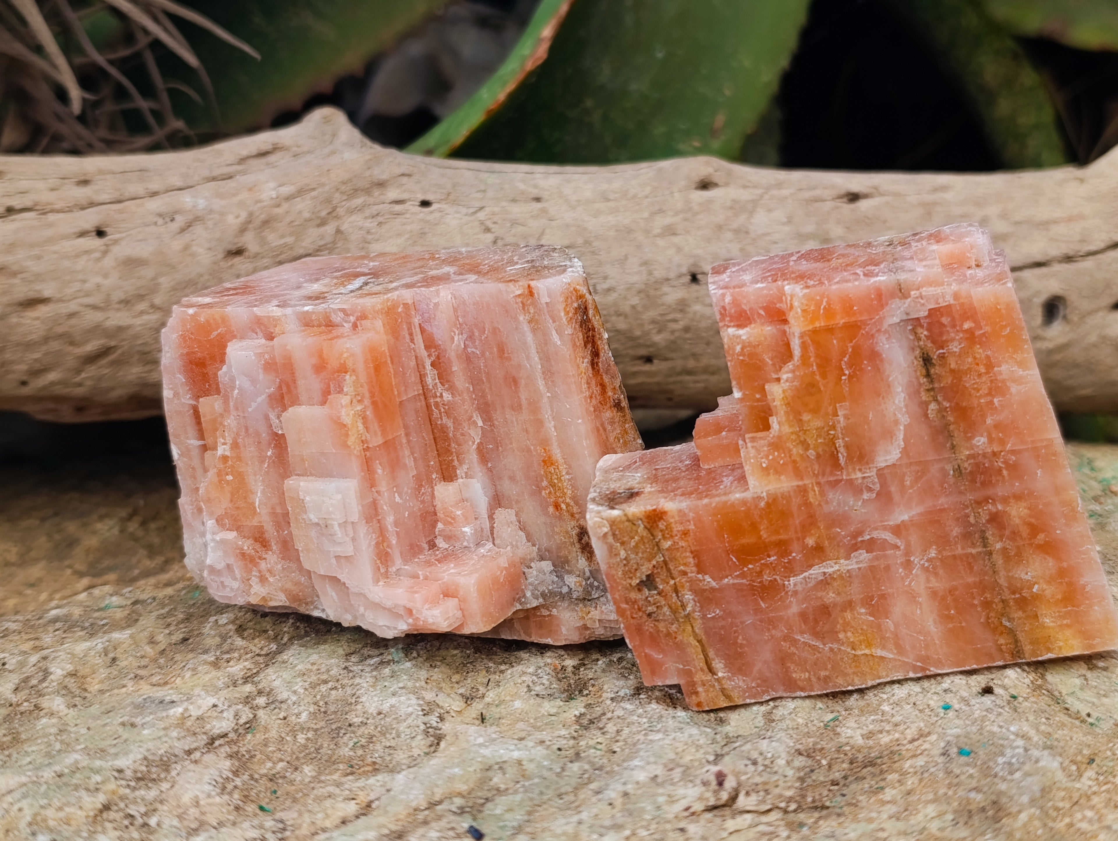 Natural Rhombohedral Sunset Orange Calcite Specimens x 12 From Spitzkop, Namibia - Toprock Gemstones and Minerals 