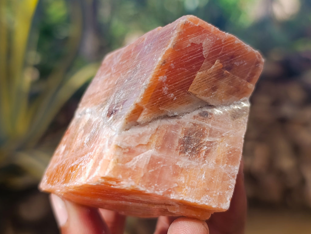 Natural Rhombohedral Sunset Orange Calcite Specimens x 12 From Spitzkop, Namibia - Toprock Gemstones and Minerals 
