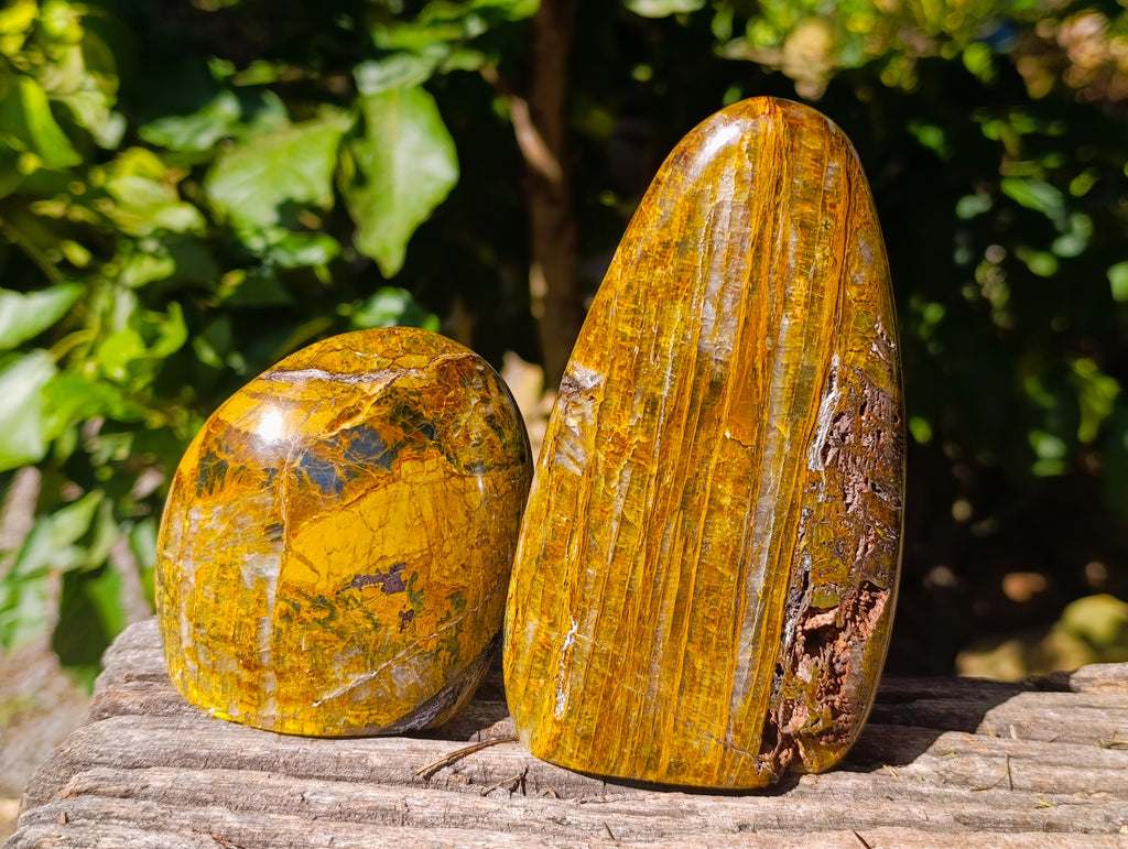 Polished Neolite Standing Free Forms x 3 From Prieska, South Africa - Toprock Gemstones and Minerals 