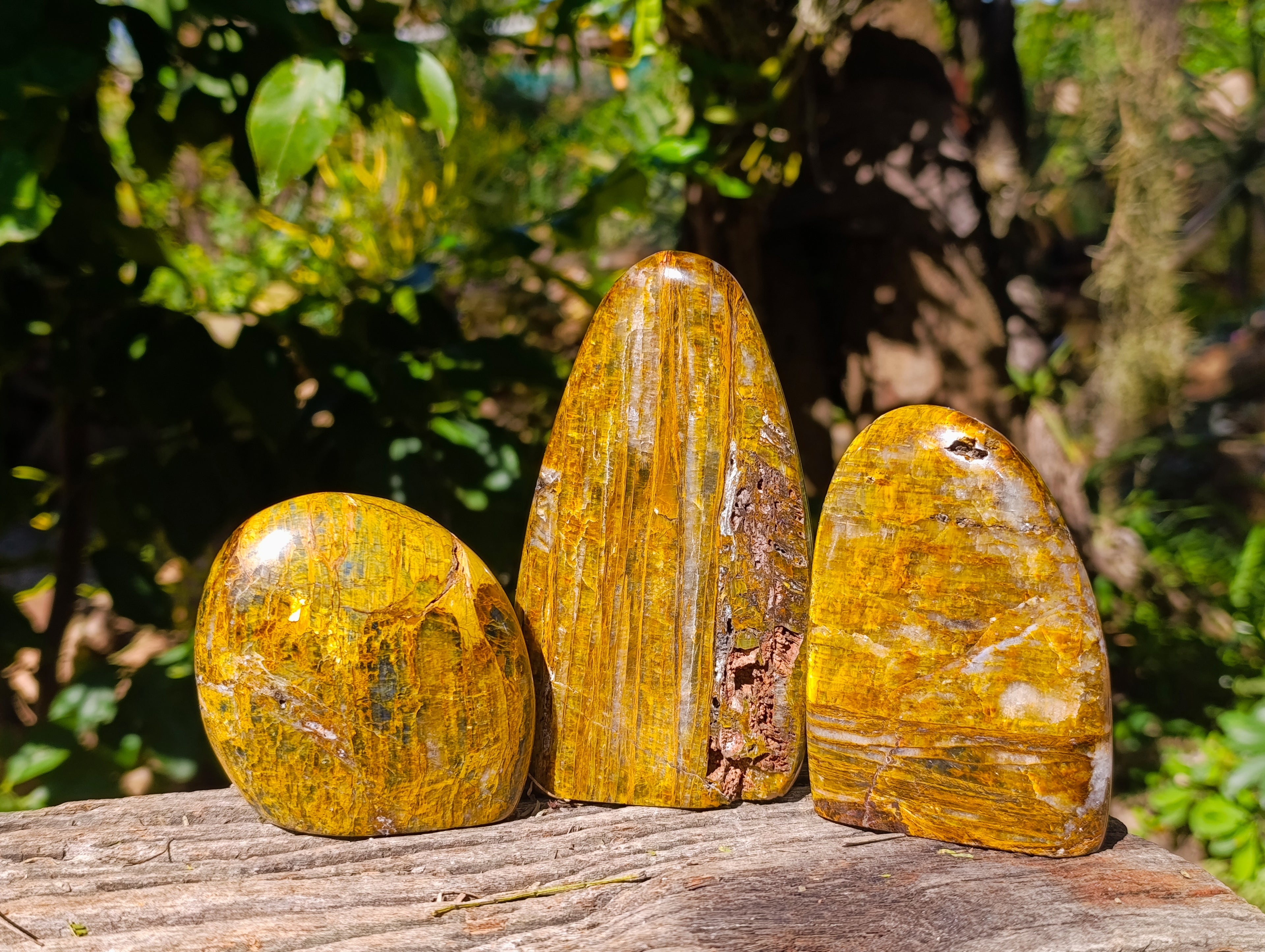Polished Neolite Standing Free Forms x 3 From Prieska, South Africa - Toprock Gemstones and Minerals 