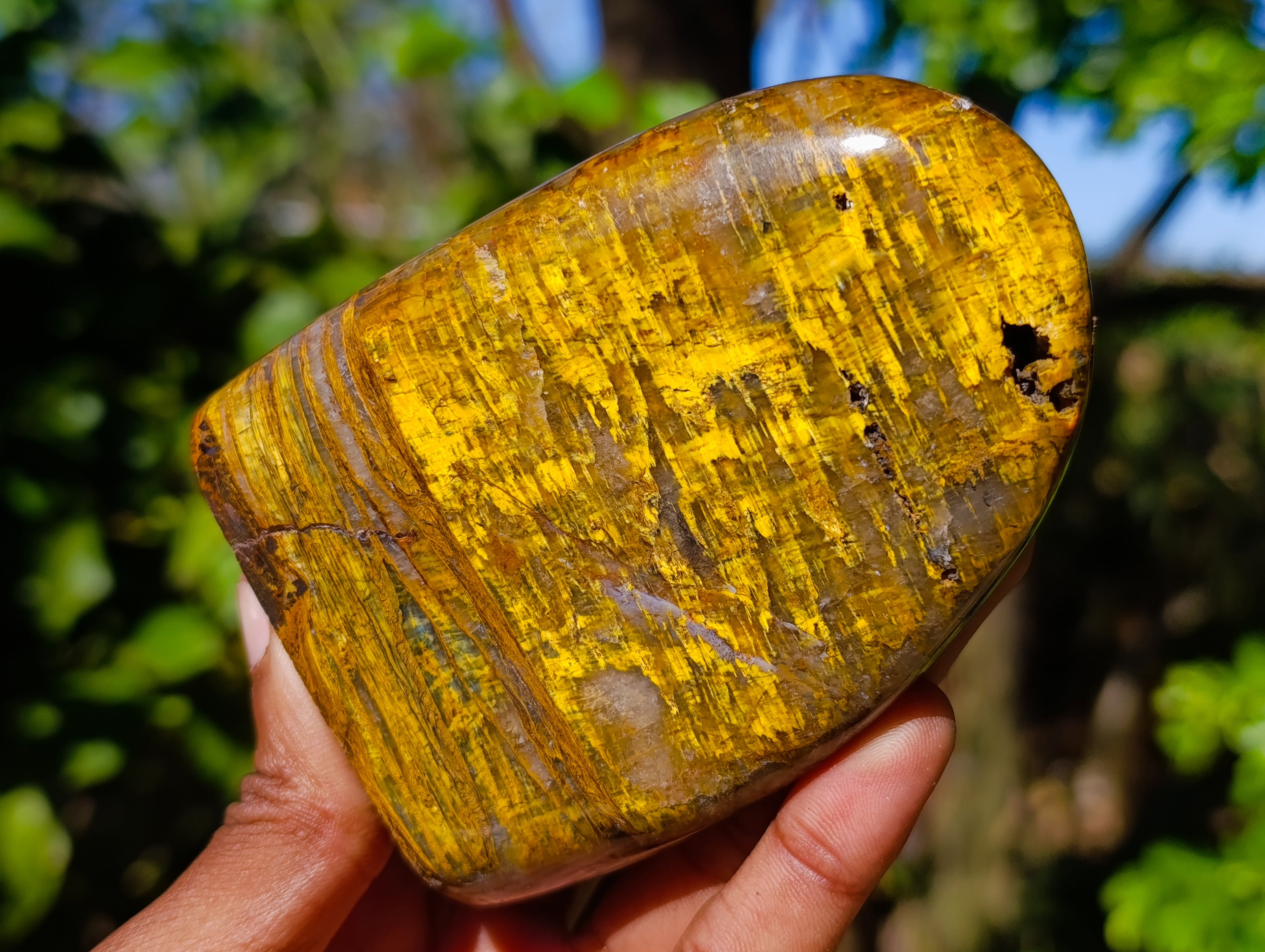 Polished Neolite Standing Free Forms x 3 From Prieska, South Africa - Toprock Gemstones and Minerals 