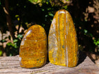 Polished Neolite Standing Free Forms x 3 From Prieska, South Africa - Toprock Gemstones and Minerals 