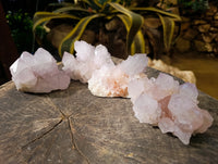 Natural Cactus Flower Amethyst Spirit Quartz Clusters x 4 From South Africa - Toprock Gemstones and Minerals 