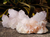 Natural Cactus Flower Amethyst Spirit Quartz Clusters x 4 From South Africa - Toprock Gemstones and Minerals 