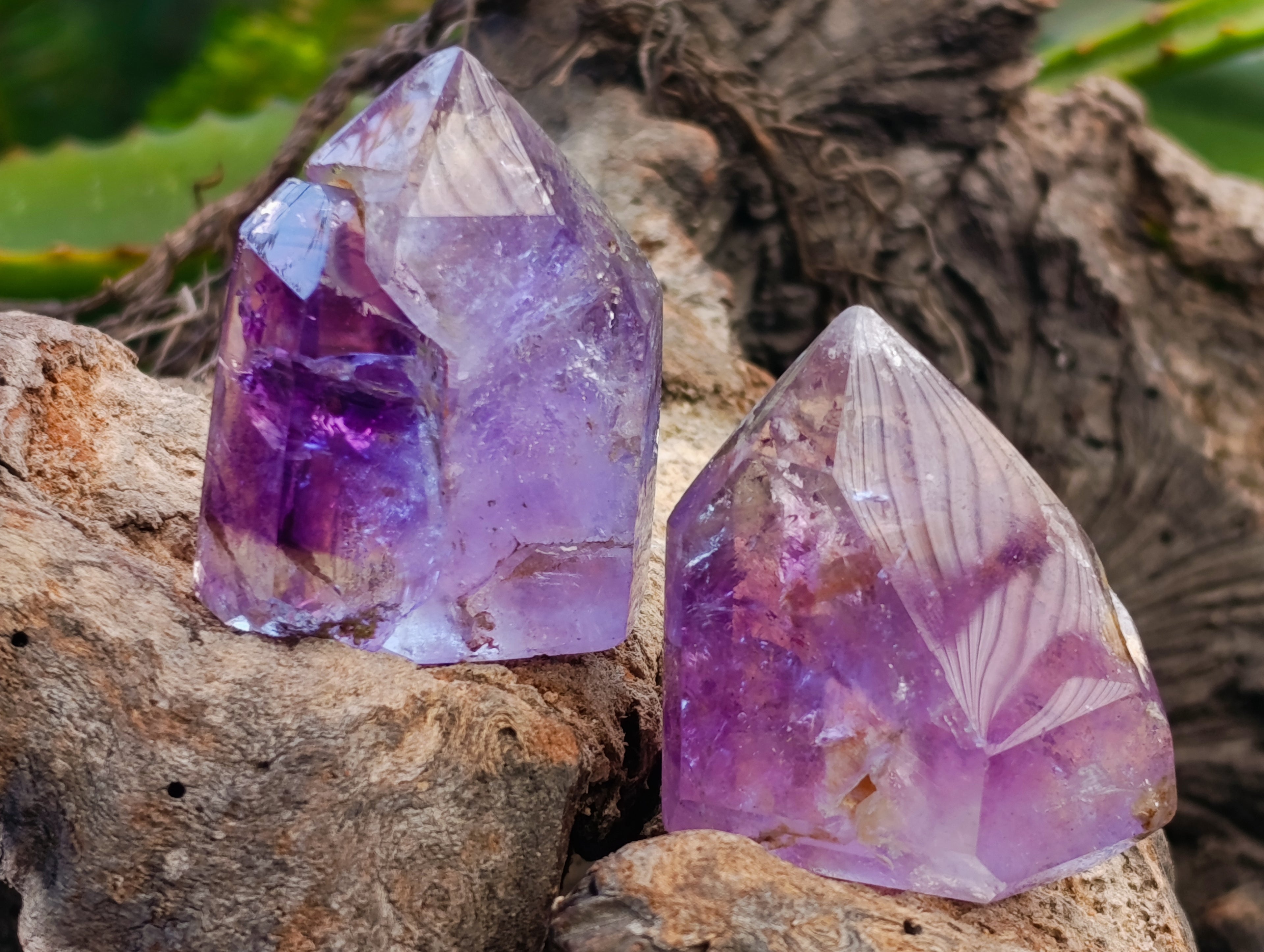 Polished Window Amethyst Quartz Points x 12 From Akansobe, Madagascar - Toprock Gemstones and Minerals 