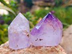 Polished Window Amethyst Quartz Points x 12 From Akansobe, Madagascar - Toprock Gemstones and Minerals 