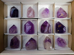 Polished Window Amethyst Quartz Points x 12 From Akansobe, Madagascar - Toprock Gemstones and Minerals 