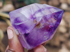 Polished Window Amethyst Quartz Points x 12 From Akansobe, Madagascar - Toprock Gemstones and Minerals 