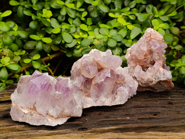 Natural Jacaranda Amethyst Quartz Cluster x 3 From Mumbwa, Zambia