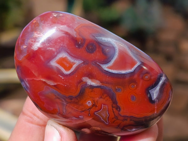 Polished On One Side Red Sashe River Agate Nodules x 20 From Zimbabwe